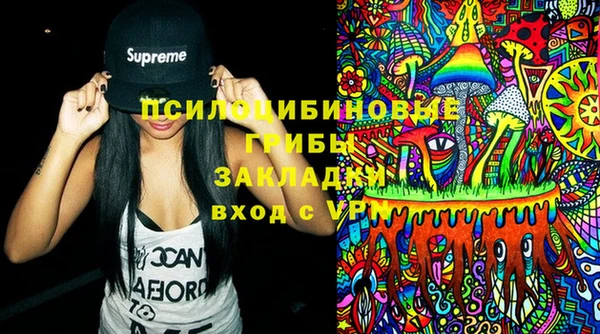 ГАЛЛЮЦИНОГЕННЫЕ ГРИБЫ Баксан