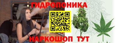 mdpv Лесосибирск