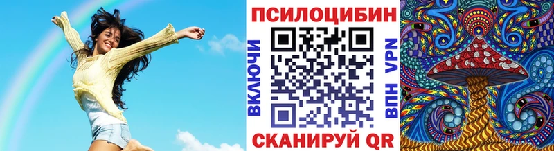 Галлюциногенные грибы Magic Shrooms  hydra ТОР  Дальнегорск 