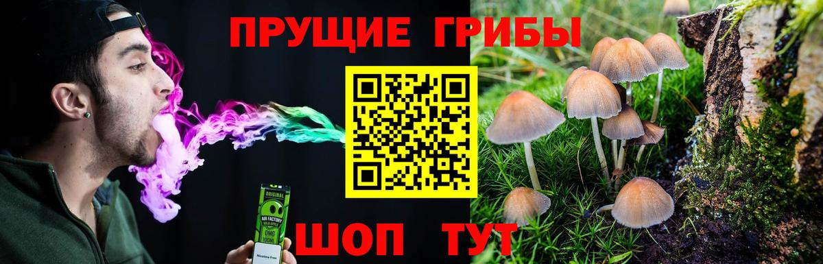 Галлюциногенные грибы Psilocybine cubensis  Вход с VPN  Дальнегорск 